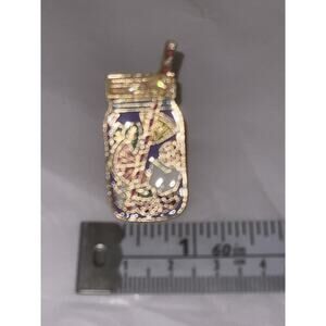 Summer Jar Fruit Drink Pin Brooch